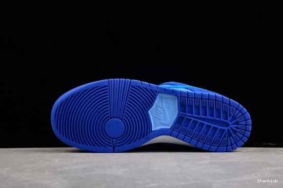 Low Nike Raspberry Dunk SB DM0807-400 Blue 0121